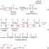 Amines interact with  General formula of amines.  Properties and structure of amines.  Basic properties of amino acids