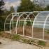 Useful tips about the greenhouse When is the best time to put the greenhouse