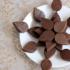 Homemade milk chocolate: recipe