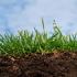 What are the types of soil, their characteristics and differences