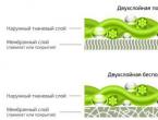 Membrane fabric is a material for clothing: characteristics and description