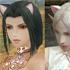 Quest for cat ears.  Quest for ears.  l2 quest for cat ears