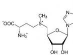 Как принимать аминокислоту метионин?