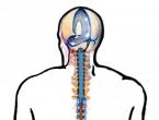 Craniosacral osteopathy What is craniosacral rhythm