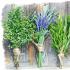 Herbs-amulets - the meaning and use of plants in witchcraft Which herb removes any damage