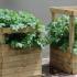 Growing potatoes in boxes